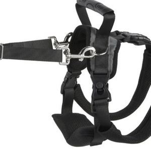Rear lift dog harness